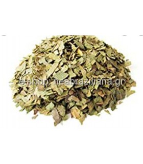 Τζίνγκο Μπιλόμπα (Ginkgo Biloba)