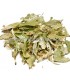 Τίλιο ή  Φλαμουριά (Tilia europaea)
