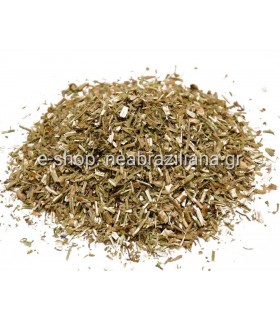 Ύσσωπος (Hyssopus officinalis)