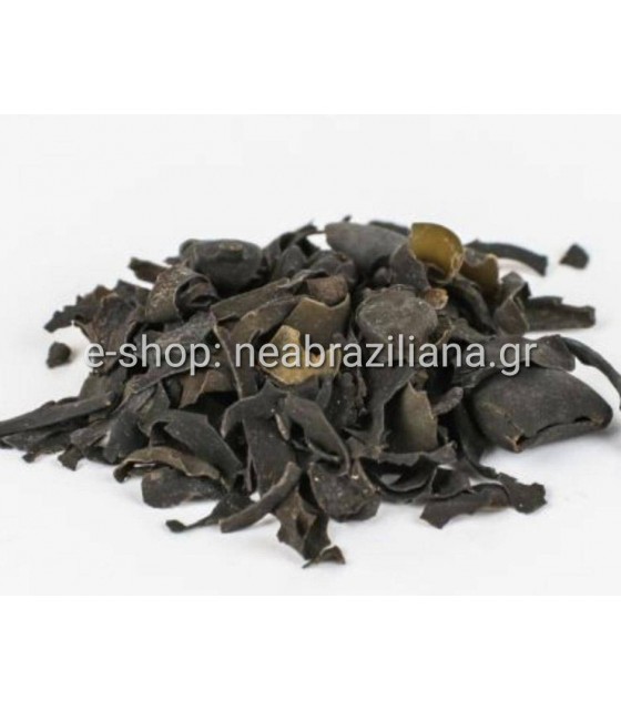 Φύκια - Seaweed