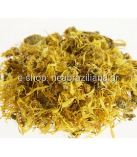 Σπάρτο το βουρλοειδές - Spartium Junceum