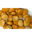 Λούπινα Lupinus albus