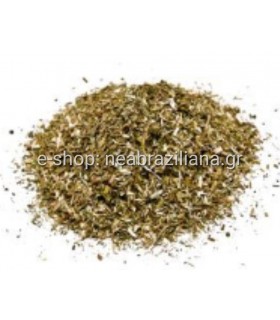 Περδικάκι -  Parietaria officinalis