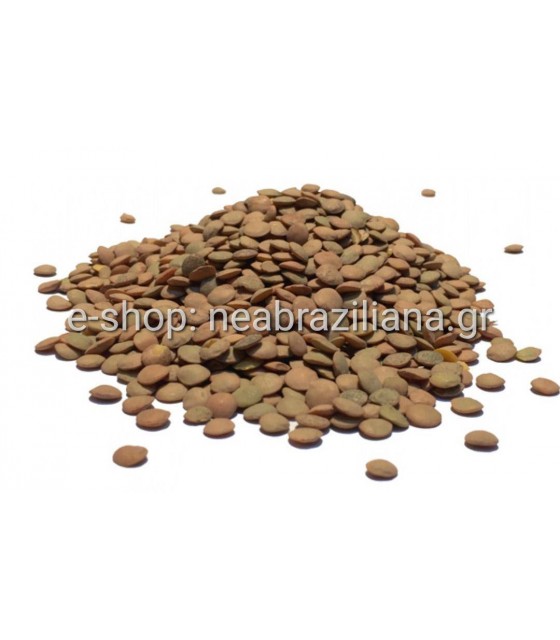 Φακές Χονδρές