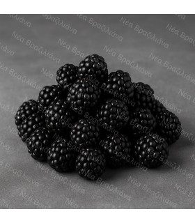Blackberries (βατόμουρα) Χωρίς Ζάχαρη