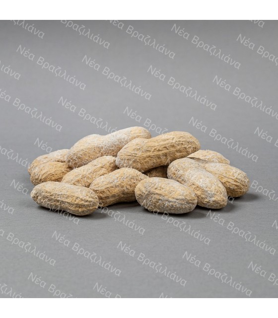 Φυστίκια   Κέλυφος  (Αραχίδα)  Αλμυρά