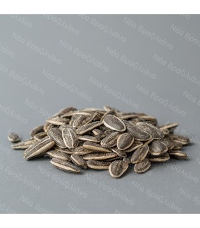 Ηλιόσπορος Αλμυρός