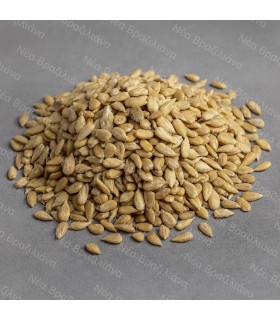 Ηλιόσπορος   Ψύχα