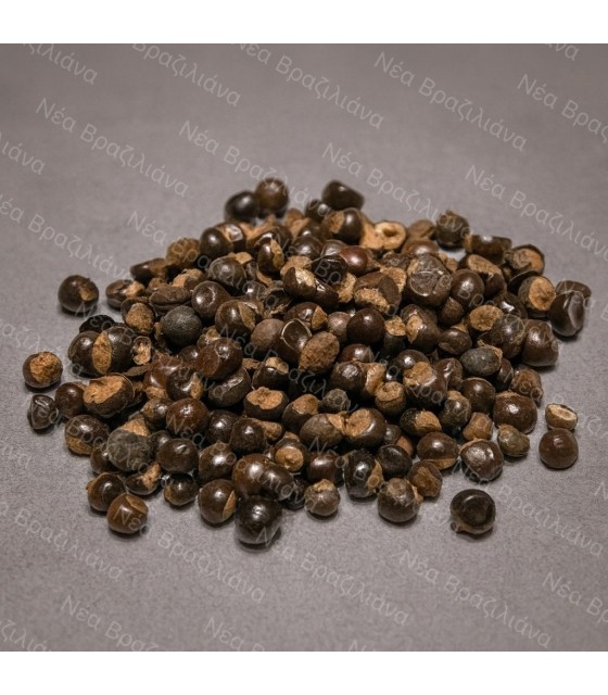 Γκουαρανά (Paullinia cupana)