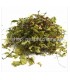 Το Αγριμόνιο (Agrimonia eupatoria ή φωνόχορτο)